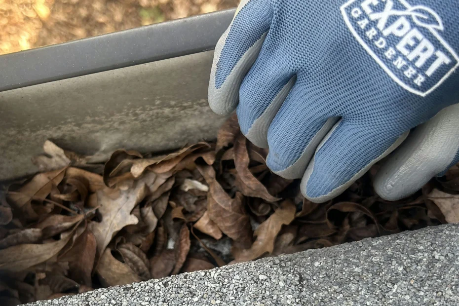 Gutter Cleaning Colby